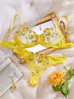 💖China Transparent Bra & Panty Set- Yellow - Image 2