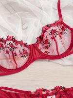 💖China Transparent Bra Panty Set-Maroon - Image 3