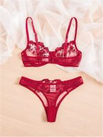 💖China Transparent Bra Panty Set-Maroon - Image 2