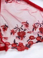 💖China Transparent Bra Panty Set-Maroon - Image 4